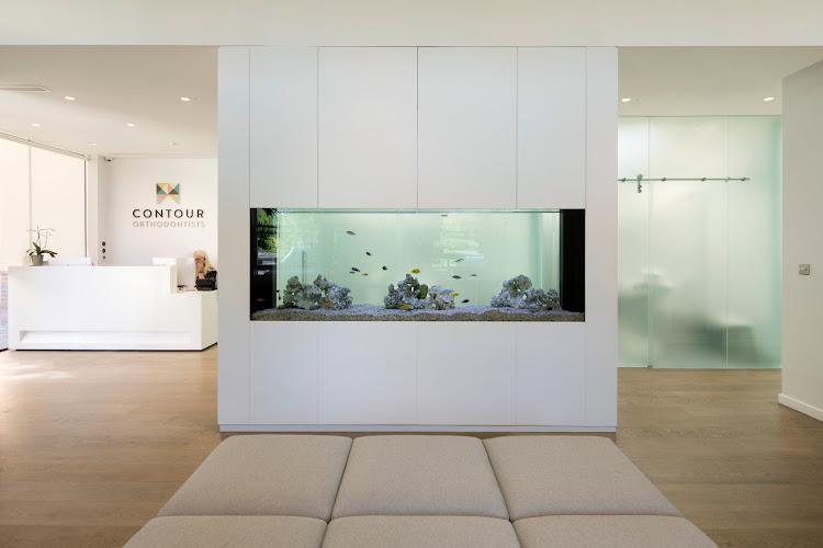 Contour Orthodontists