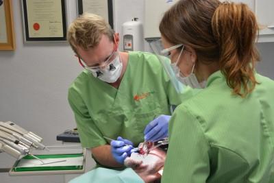 Orange Tree Dental