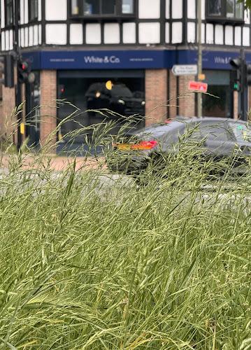 White & Co. Dentist in West Wickham