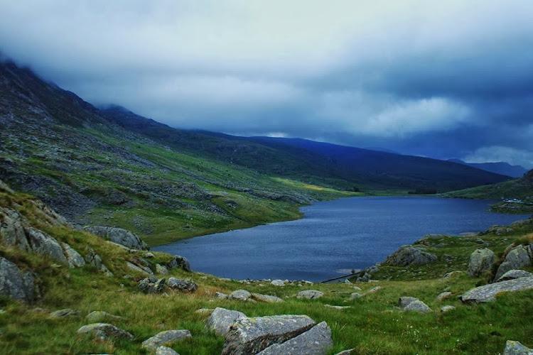 Dental Surgery Sinervo